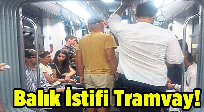 Balık İstifi Tramvay!