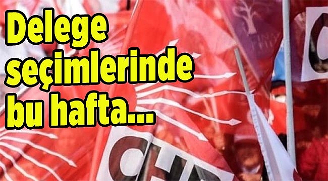 Delege seçimlerinde bu hafta