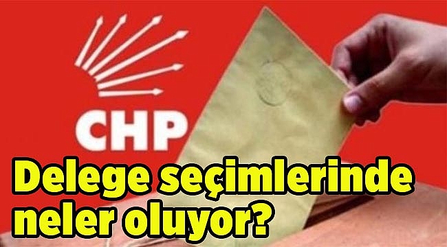 Delege seçimlerinde neler oluyor?