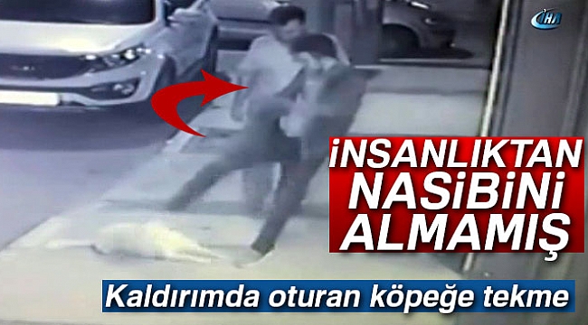 Kaldırımda oturan köpeğe tekme kamerada