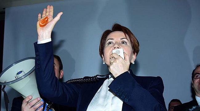 ‘Kınalı eli’ partinin logosu oluyor