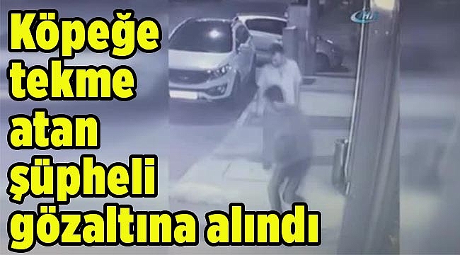 Köpeğe tekme atan şüpheli gözaltına alındı