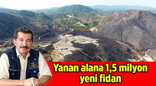 Yanan alana 1,5 milyon yeni fidan