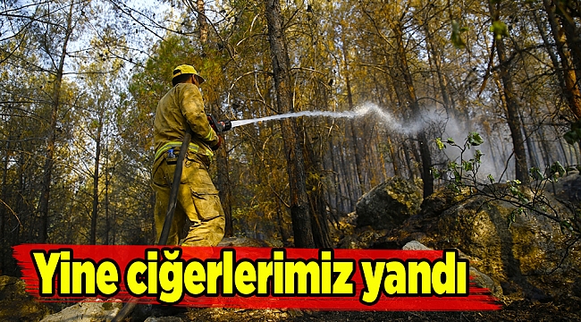 Yine ciğerlerimiz yandı