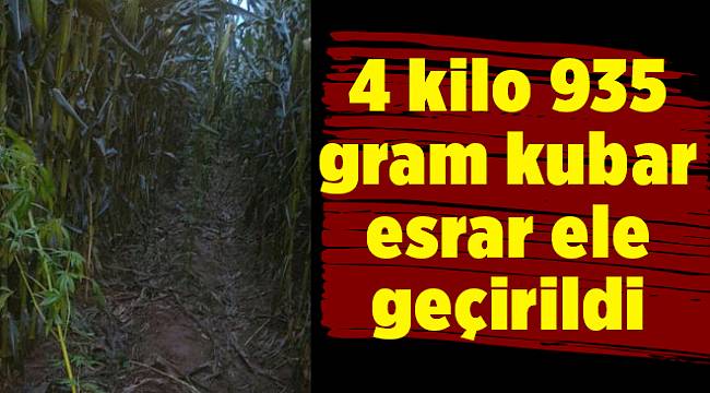 4 kilo 935 gram kubar esrar ele geçirildi
