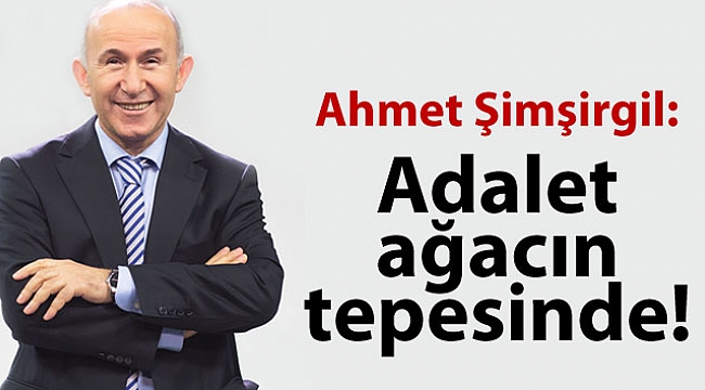 Ahmet Şimşirgil: Adalet ağacın tepesinde!