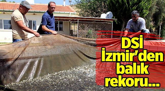 Barajlara 2 milyon yavru balık