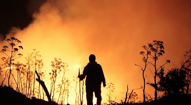 Bodrum’daki yangın kontrol altına alındı