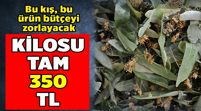 Bu kış, bu ürün bütçeyi zorlayacak