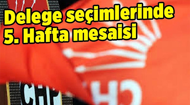 Delege seçimlerinde 5. Hafta mesaisi