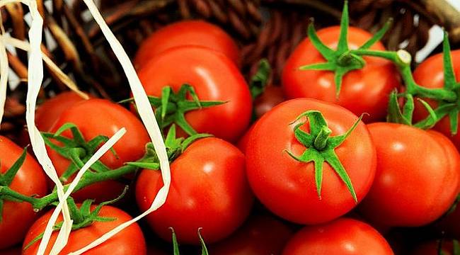 Domates yasağı resmen kalktı