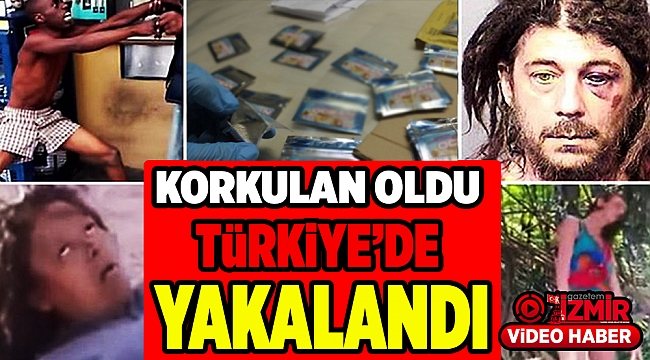 Haberini yaptığı zombi hapı ile yakalandı