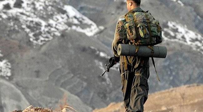 'İkisi sözde lider 45 terörist etkisiz hale getirildi'