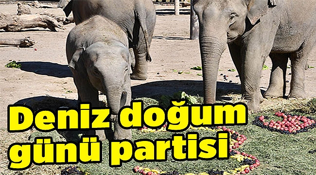 İyi ki doğdun Deniz!