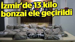 İzmir'de 13 kilo bonzai ele geçirildi