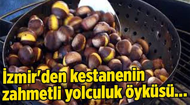 İzmir'den kestanenin zahmetli yolculuk öyküsü...