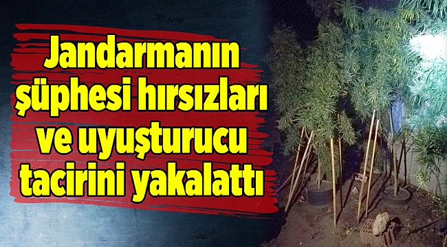 Jandarmanın şüphesi hırsızları ve uyuşturucu tacirini yakalattı