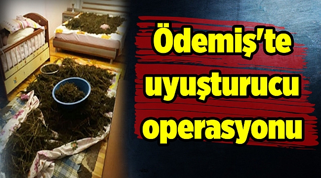 Ödemiş'te uyuşturucu operasyonu