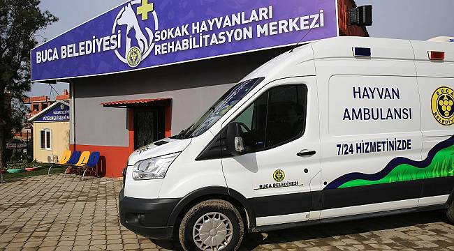 Sokak Hayvanlarına yüzde yüz destek