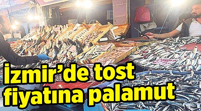Tost fiyatına palamut
