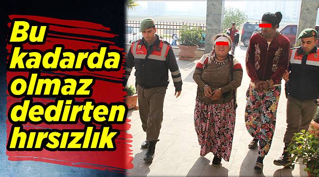 Bu kadarda olmaz dedirten hırsızlık