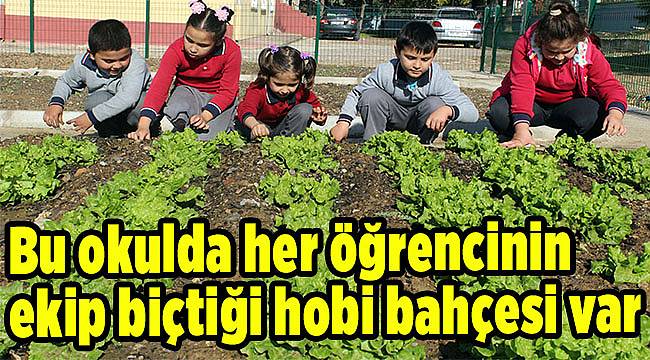 Bu okulda her öğrencinin ekip biçtiği hobi bahçesi var
