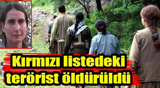 Kırmızı listedeki terörist öldürüldü
