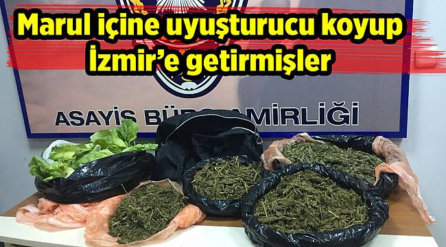 Marul içine uyuşturucu koyup İzmir’e getirmişler