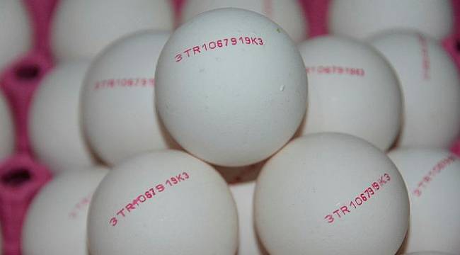 Yumurtalar yeni kodlarıyla piyasaya sunuluyor