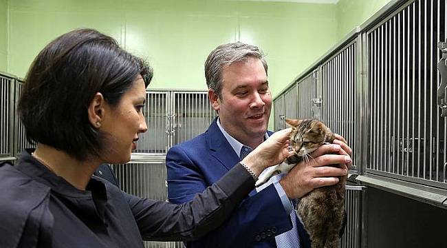 Buca’da sokak hayvanları güvenli ellerde