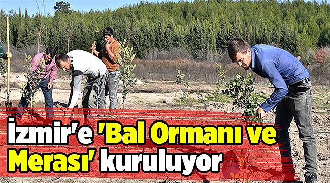 İzmir'e 'Bal Ormanı ve Merası' kuruluyor