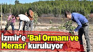 İzmir'e 'Bal Ormanı ve Merası' kuruluyor