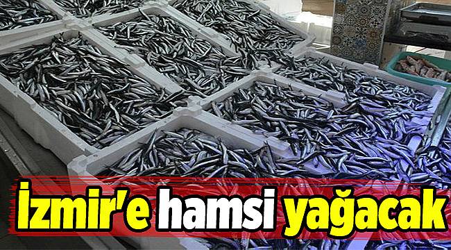 İzmir'e hamsi yağacak