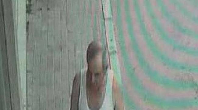 Mamalı cinayeti davası ertelendi