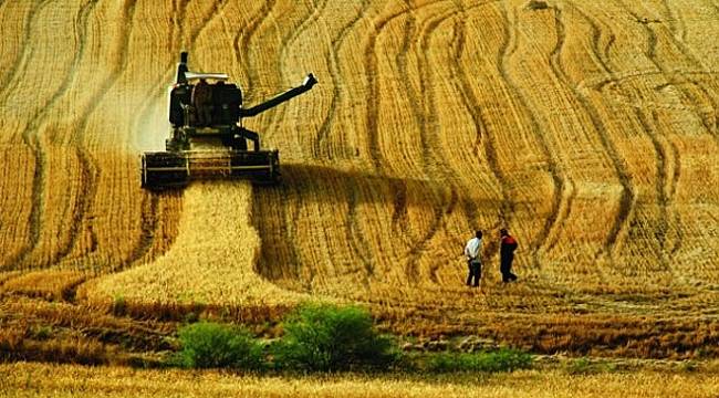 Üreticiye 1.2 milyar liralık hibe paketi