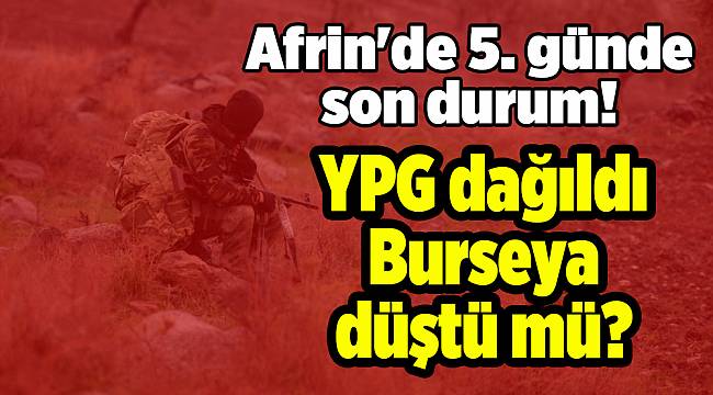 Afrin'de 5. günde son durum! YPG dağıldı Burseya düştü mü?