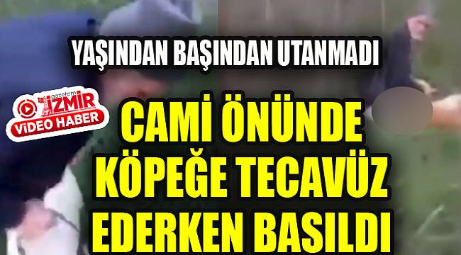 Ahlaksız yaşlı adam cami önünde köpeğe tecavüz ederken böyle yakalandı...