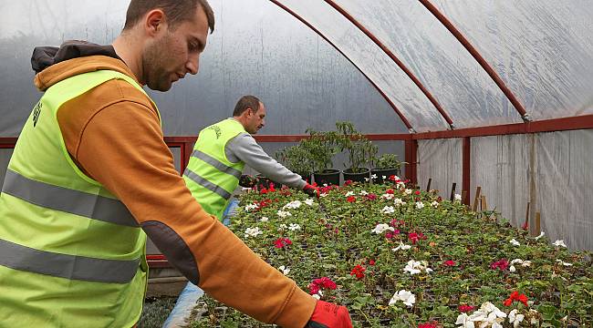 Buca yeşil dokusunu kendi üretiyor