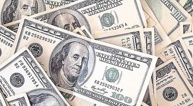 Dövizle borçlanmaya sınırlama getirildi