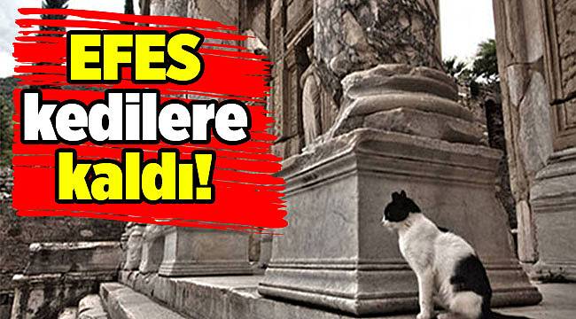 Efes'e gelen turist sayısında şoke eden düşüş