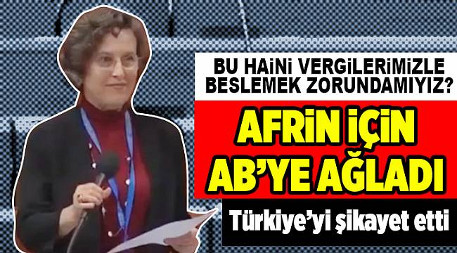 HDP'li Kerestecioğlu, Türkiye'yi Avrupa'ya şikayet etti
