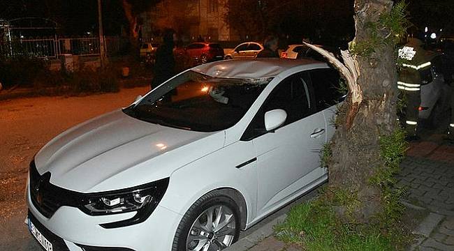 İzmir'de kuvvetli rüzgar ağacı devirdi