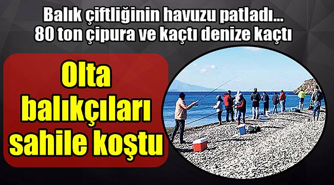 Olta tutkunları sahile akın etti