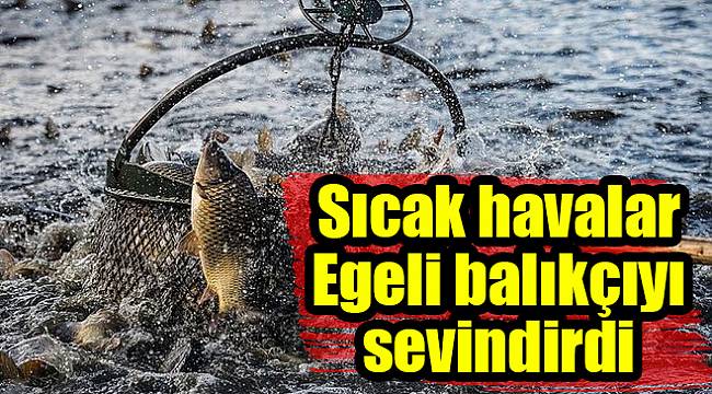 Sıcak havalar Egeli balıkçıyı sevindirdi