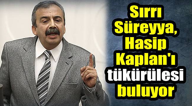 Sırrı Süreyya, Hasip Kaplan'ı tükürülesi buluyor