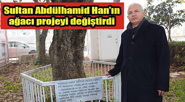 Sultan Abdülhamid Han’ın ağacı projeyi değiştirdi