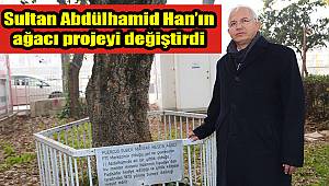 Sultan Abdülhamid Han’ın ağacı projeyi değiştirdi 