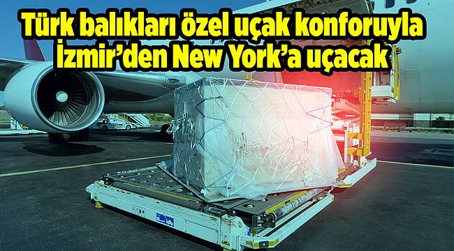 Türk balıkları özel uçak konforuyla İzmir’den New York’a uçacak 