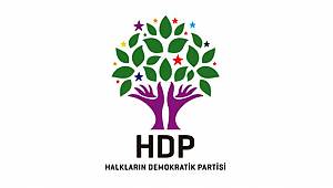 HDP Olağan Kongresinde skandal sözler: "Afrin'de halk kendini koruyor"