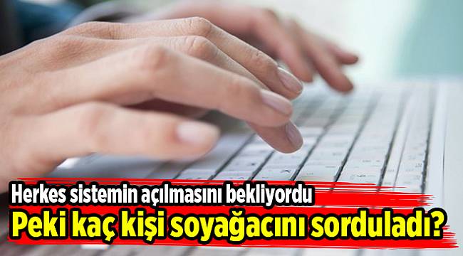 Kaç kişi soyağacını sorguladı?